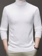 Men's Plus Size Turtleneck Slim Fit Sweater