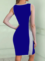 V-Neck Colorblock Sleeveless Bodycon Dress