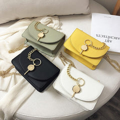 Stylish Compact Messenger Bag