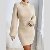 Turtleneck Ribbed Knit Sweater Dress