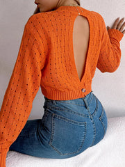 Cutout Back Openwork Round Neck Long Sleeve Sweater