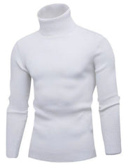 Men's Turtleneck Long Sleeve Ribbed Sweater