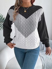 Women's Contrast Trim Crew Neck Sweater